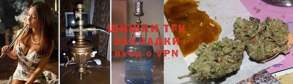 индика Вязьма